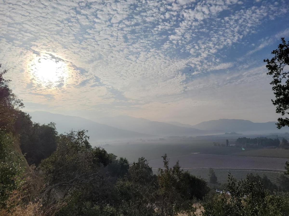Colchagua D'vino