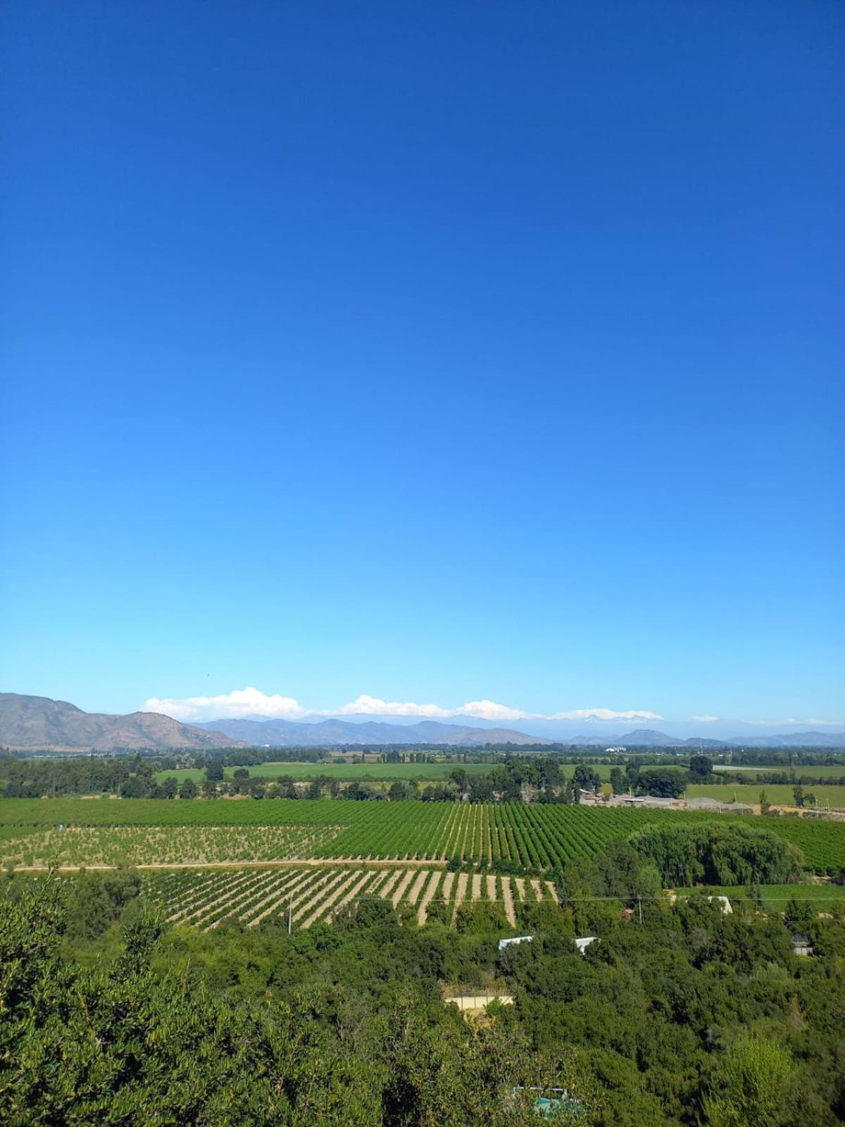 Hotel Colchagua D'vino *
