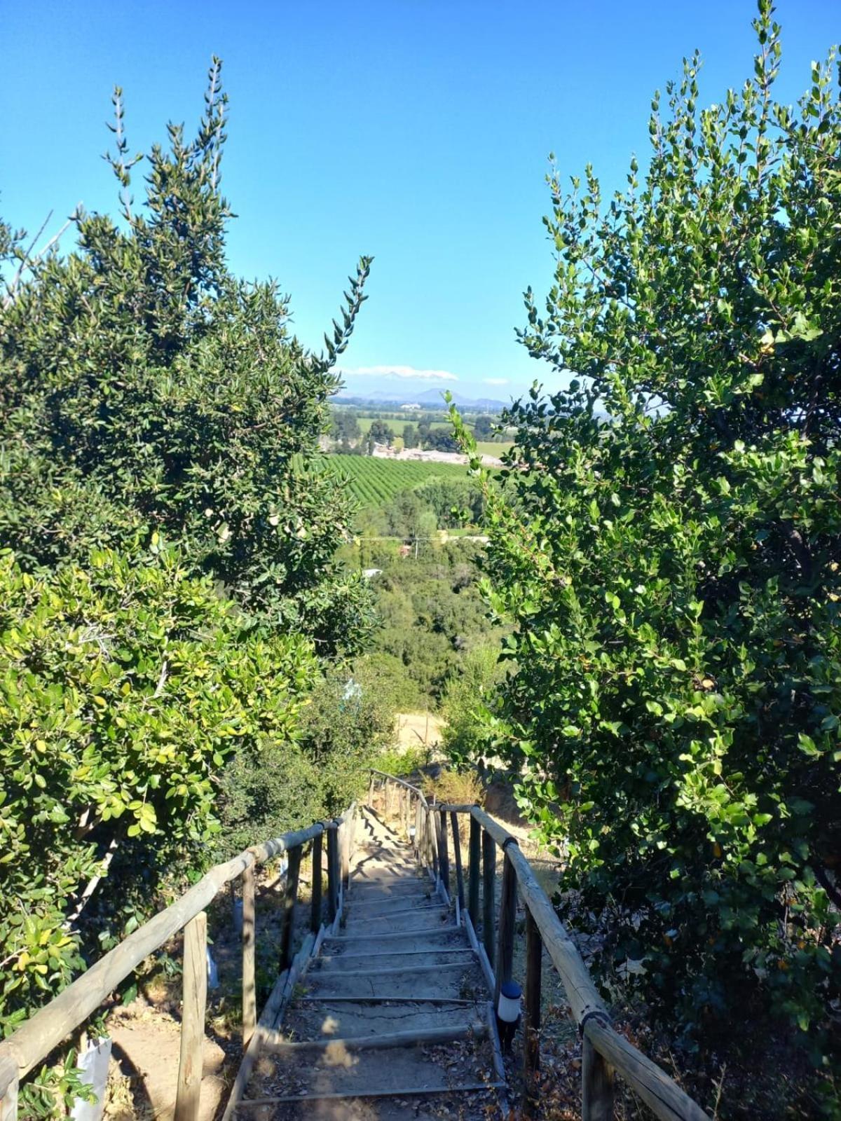 Hotel Colchagua D'vino