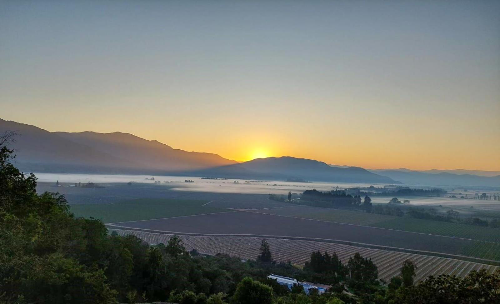 Colchagua D'vino *