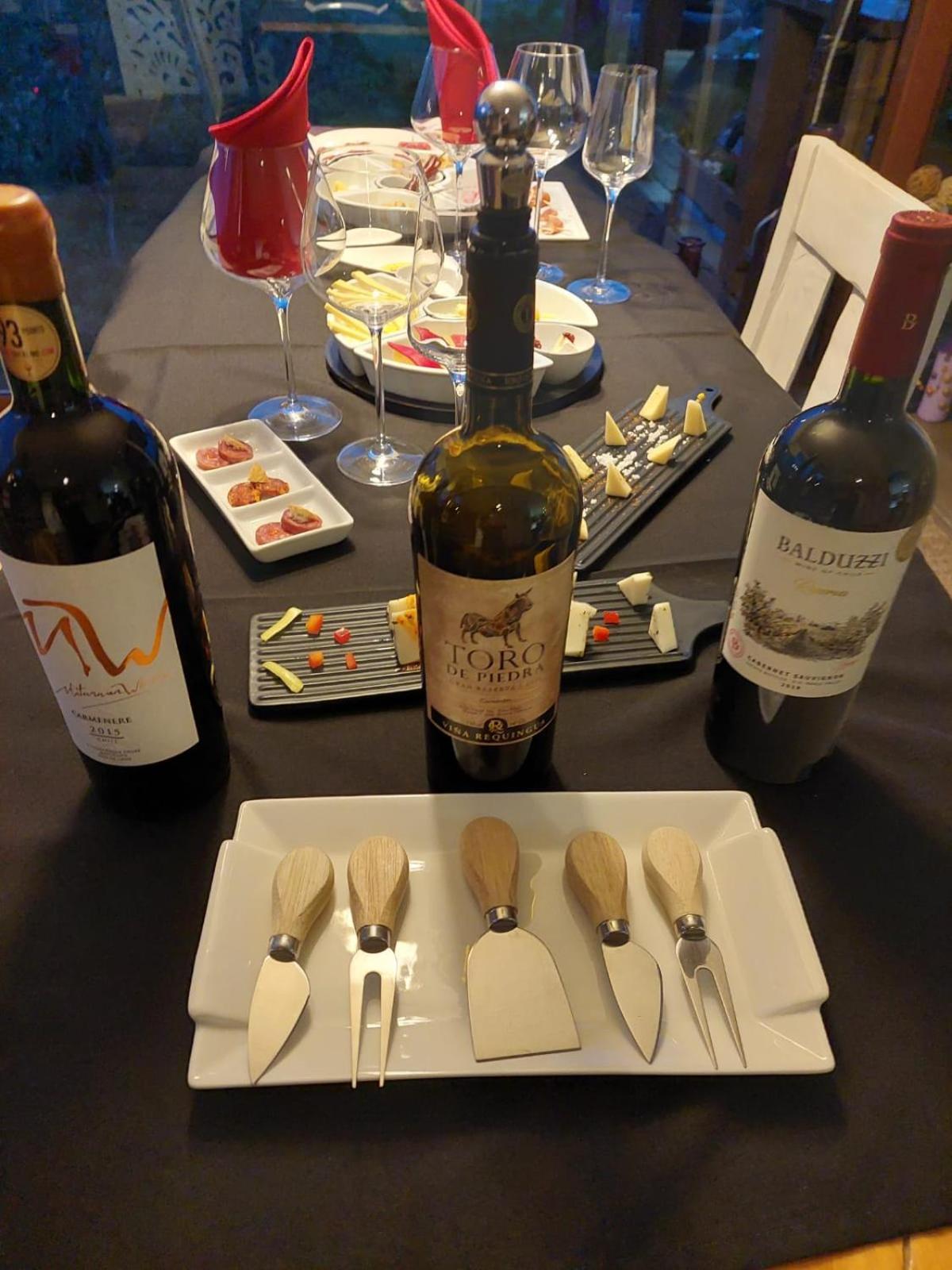 Hotel Colchagua D'vino *