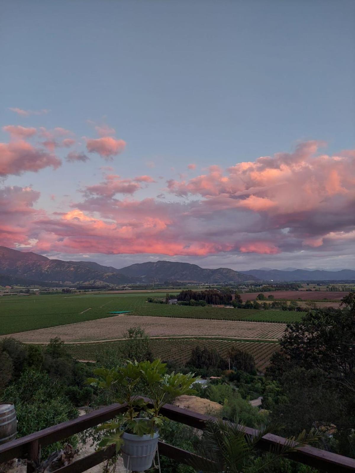 Colchagua D'vino Hotel *